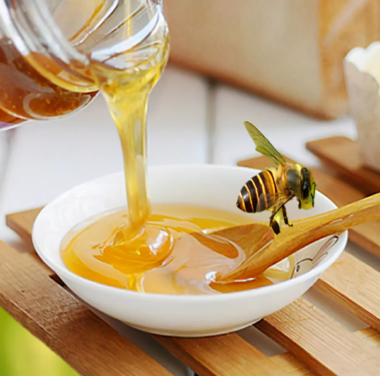 Is Honey Bad for Dogs? Aspects of Honey That Can Help Dogs