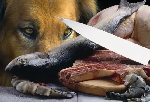 Can dogs eat raw fish?