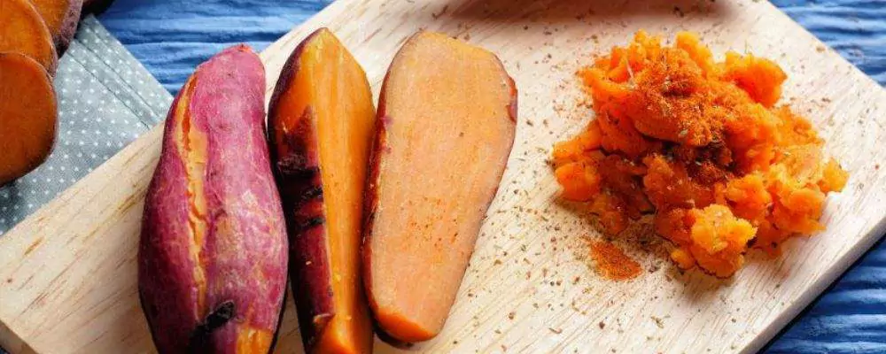Dogs can eat sweet potatoes? What are the benefits of sweet potatoes for dogs
