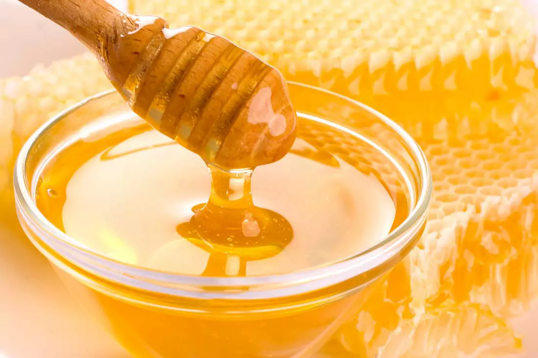 Can dogs eat honey? What are the benefits of honey for dogs?