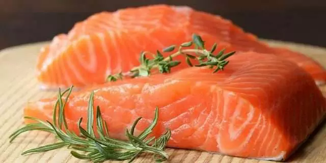 Can dogs eat salmon? What are the benefits of salmon for dogs