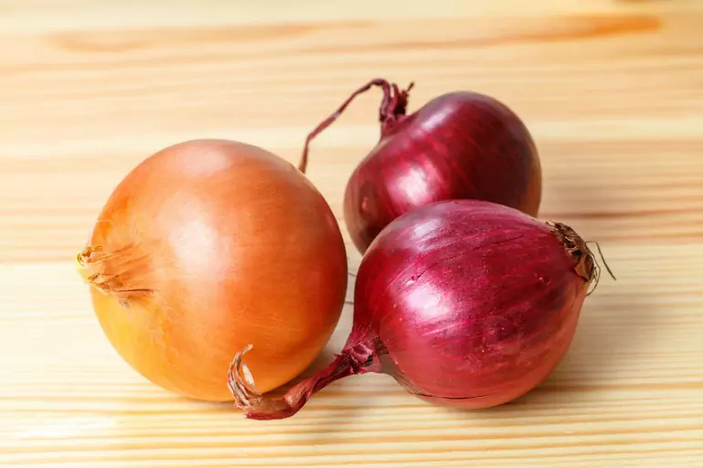 Are onions bad for dogs? How much onion can a dog eat and have a toxic reaction?